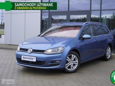 Volkswagen Golf VII Xenon! Asystent, Tempomat, Kamera, Masaż, GWARANCJA, Bezwypadek