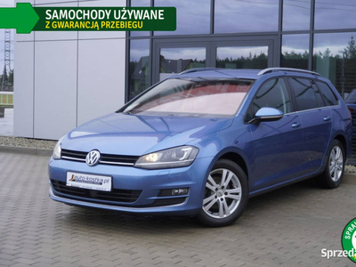 Volkswagen Golf Xenon! Asystent, Tempomat, Kamera, Masaż, G…