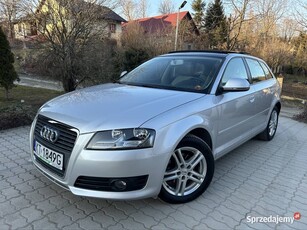 Audi A3, 1.6 MPI, AUTOMAT, LIFT, Szyberdach, Alufelgi, PDC