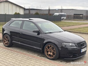 Audi A3 8P 2.0TDI BKD 220KM 480NM