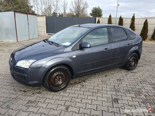 Ford Focus d