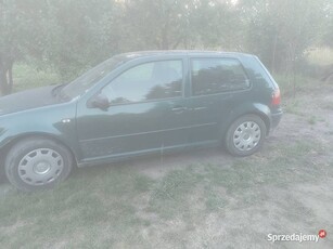 Golf 4 1.6Sr