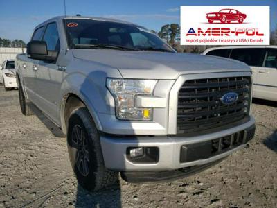 Ford F150 2016, 2.7L, 4x4, po gradobiciu (2015-)