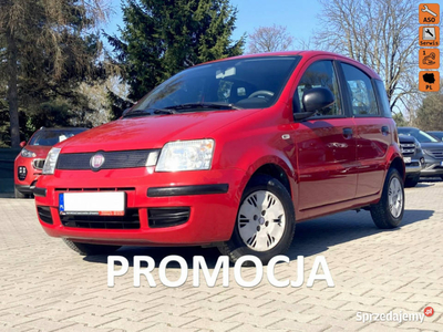 Fiat Panda Oryginalny lakier II (2003-2012)