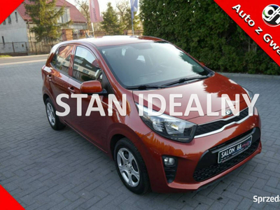 Kia Picanto 1.25 Stan Idealny 100%bezwypadkowy klima z Niem…