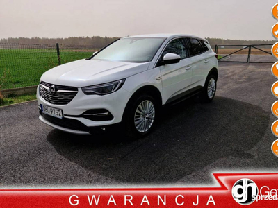 Opel Grandland X 2.0CDTI 177KM 122tys.km Ultimate Kamera 18