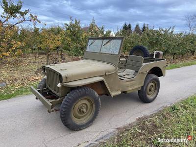 Willys MB 1943 rok Jeżdzący