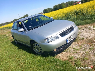 Audi a3 8l LIft 1.6b stan bdb zadbane 5-drzwi