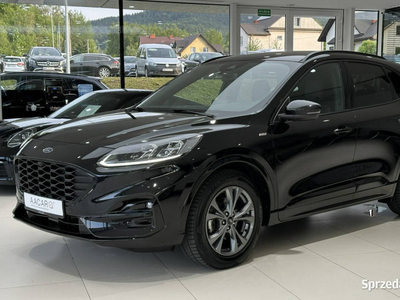 Ford Kuga ST-LINE, EcoBlue, LED, NAVI, 1-wł, FV-23%, Gwarancja, DOSTAWA II…