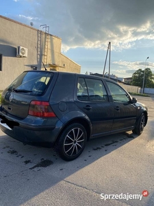 GOLF IV!