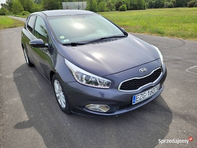 Kia Ceed 1.6 128km 2014r !