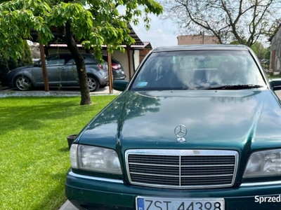 Mercedes W202