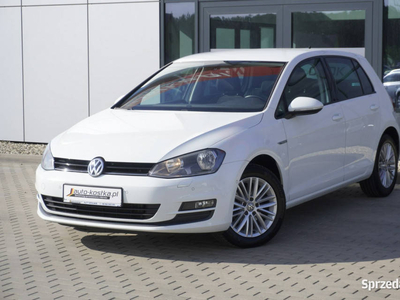 Volkswagen Golf Grzane fotele, Czujniki, Navi, Tempomat, Climatronic, Alu,…