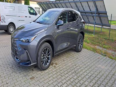 Lexus NX - MY'24 - fabrycznie nowy 2023 - OFERTA SPECJALNA