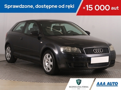 Audi A3 8L Hatchback 1.6 i 102KM 2003