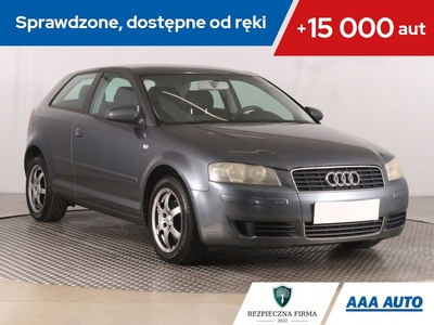 Audi A3 8P Hatchback 3d 1.6 102KM 2004