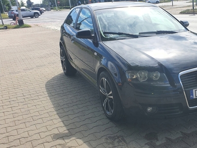 Audi A3 8P Hatchback 3d 1.9 TDI 105KM 2005