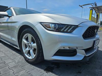 Ford Mustang Cabrio 3.7 2015 r
