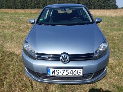 Golf 1.6 TDI 2010r.