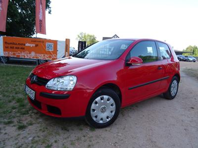 Volkswagen Golf V Hatchback 1.4 i 16V 75KM 2004