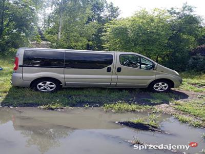 Opel Vivaro dla niepełnosprawnych