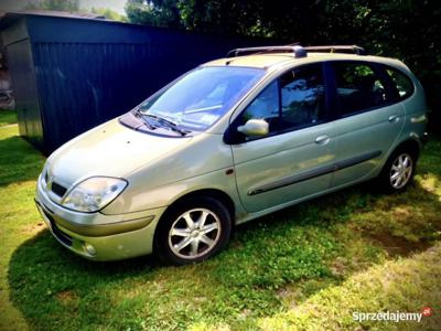 Renault Megane Scenic I 1.8 16v części, kod lakieru NV191