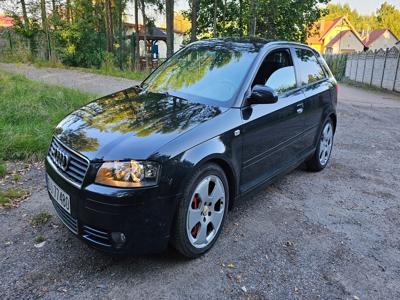 Audi A3 8P Hatchback 3d 3.2 VR6 250KM 2004