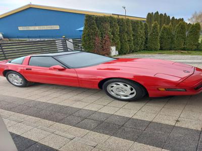 Corvette CT LT1 304 KM.