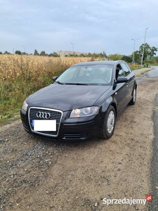 Audi A3 8P 1.9TDI 105 KM 2007rok 221tyś km