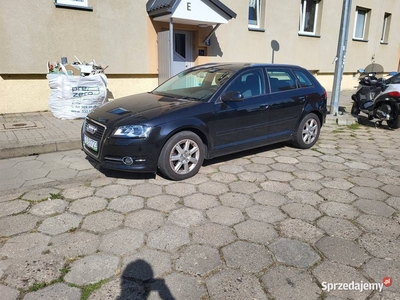 Audi a3 8p Lift xenon Led DSG doinwestowany bogata wersja PL menu licznik