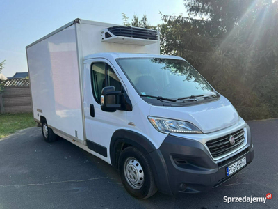 Fiat Ducato Fiat Ducato Chłodnia Klima LED Zarejestrowany 3.0