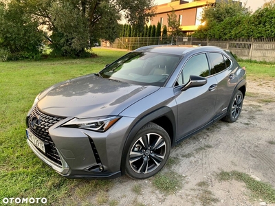 Lexus UX 250h