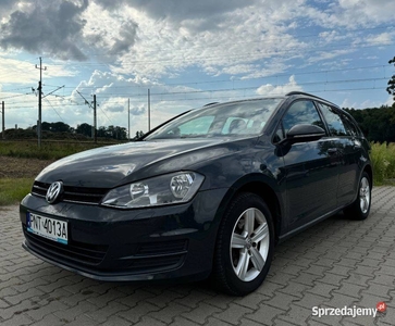 Volkswagen Golf VII 1.6 TDI 2016 4motion / hak elektryczny / tempomat