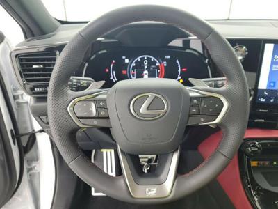 2024 Lexus NX 300 F SPORT