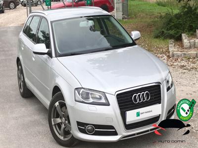 Audi A3 8P Hatchback 3d 2.0 TDI CR 140KM 2010