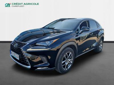 Lexus NX I SUV Facelifting 300 238KM 2019