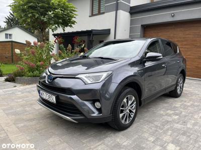 Toyota RAV4 2.5 4x2 Hybrid Edition S+