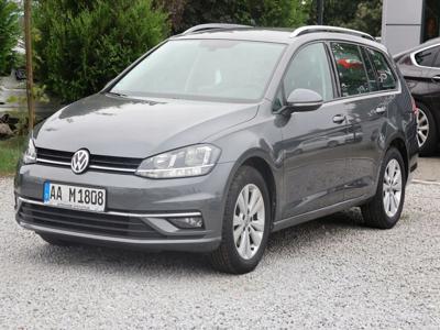 Volkswagen Golf VII Hatchback 5d Facelifting 1.6 TDI-CR DPF BMT 115KM 2020