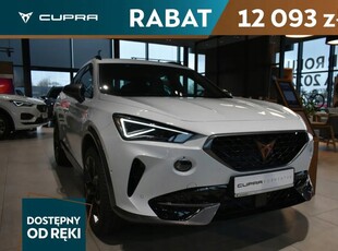 Cupra 2024