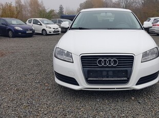 Audi A3 II (8P) 1.6 MPI 102KM FACELIFTING Bezwypadkowy Bardzo Zadbany OPŁACONY