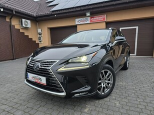 Lexus NX NX 14- NX 300h Elegance Optimum AWD 4x4 2.5 HYBRID Salon PL Serwis ASO FV 2