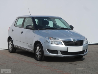 Skoda Fabia II , Salon Polska, Klima