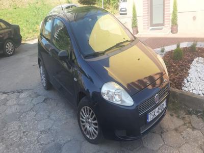 Fiat Punto 1.2 benzyna zarejestrowany