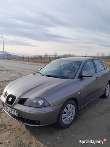 Seat Ibiza 1,9 TDI ekonomiczny i nie zawodny silnik