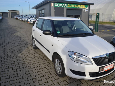 Skoda Fabia, z Niemiec, OPŁACONA, (29)