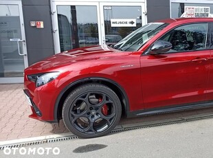 Używany Alfa Romeo Stelvio 2024