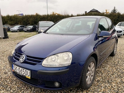 Volkswagen Golf V Hatchback 1.9 TDI 105KM 2005