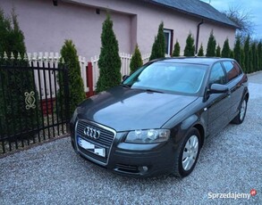 Ładne Audi a3 8p lift 2007/8 1.9TDI 105KM