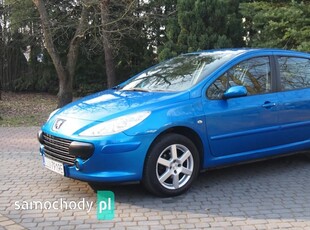 Peugeot 307 1.6