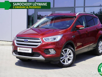 Ford Kuga Navi, Czujniki, Tempomat, Alu, Keyless, GWARANCJA, Bezwypadek, S…